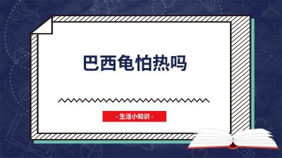 ​巴西龟怕热吗冬天会冷吗 巴西龟怕热吗冬天会冻死吗