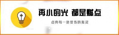 ​窄桥蛋龟的生活习性及其养殖技术