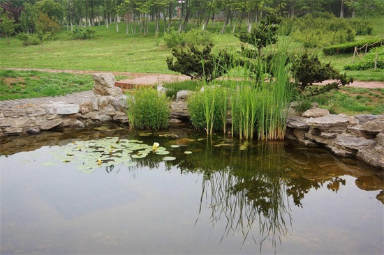 很多青岛人都不知道的太平角公园 美景如画拍照圣地 户外亲子乐园