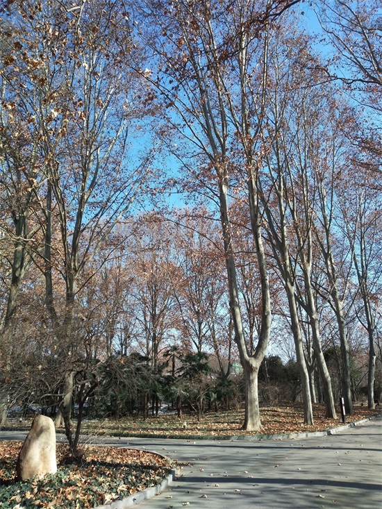 郑州北区的黄河迎宾馆，又称三所，周末来这里游玩真的很不错