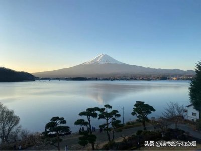 ​亲历富士山下的自杀森林，青木原树海